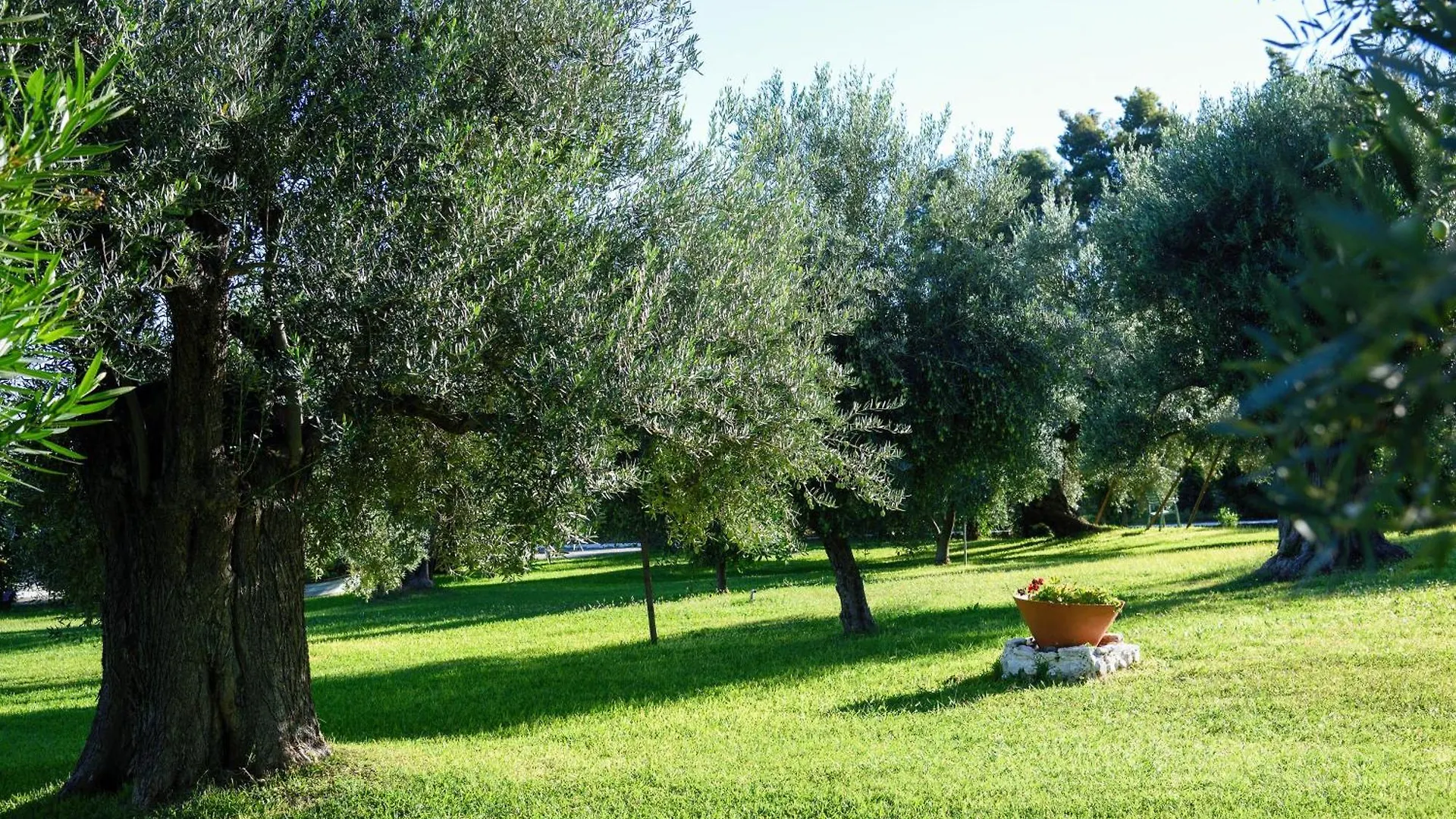Mendi Hotel Kalandra 4*,